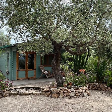 Finca Florecer Tivenys Esterno foto