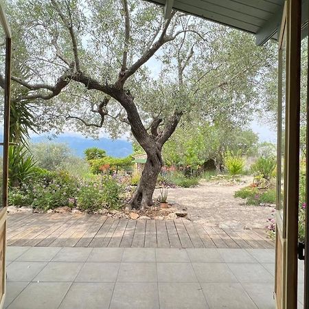 Finca Florecer Tivenys Esterno foto