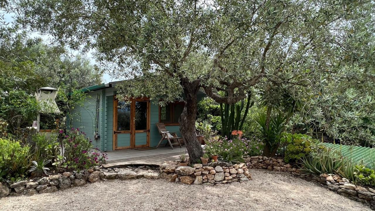 Finca Florecer Tivenys Esterno foto