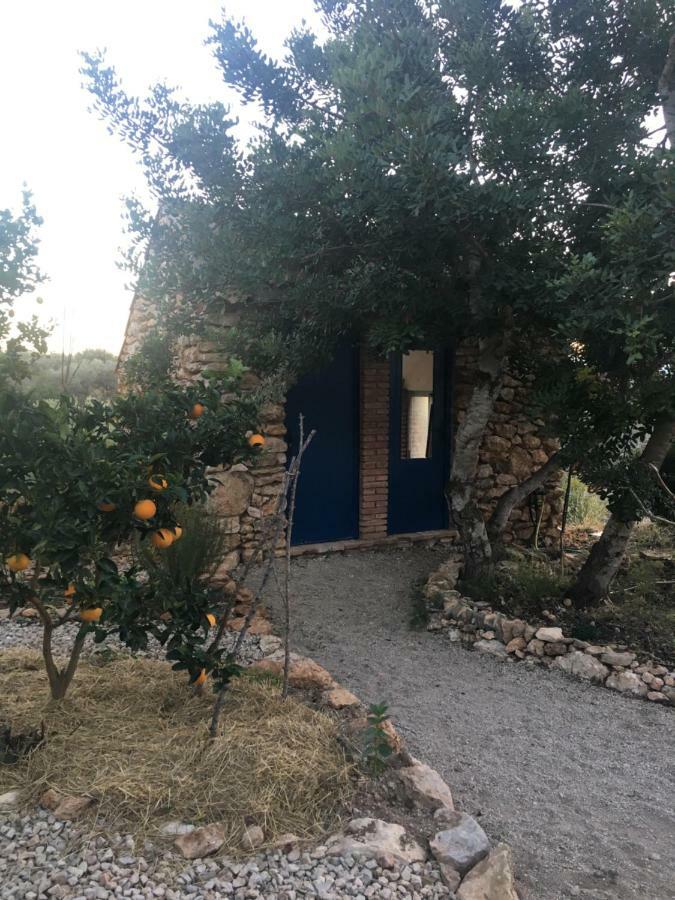 Finca Florecer Tivenys Esterno foto
